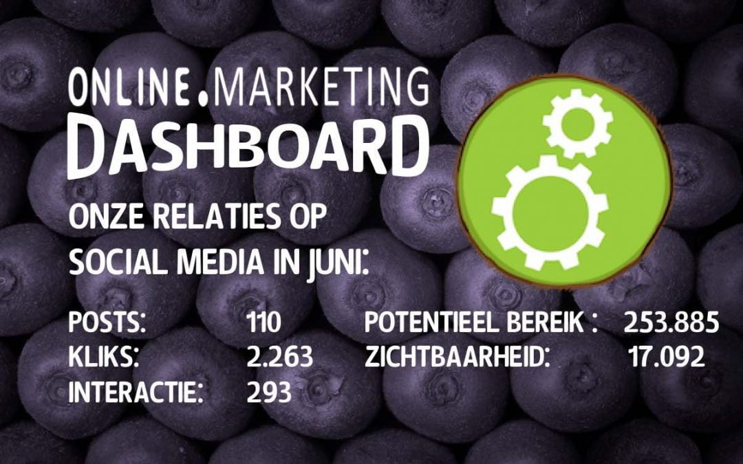 Online zichtbaarheid juni