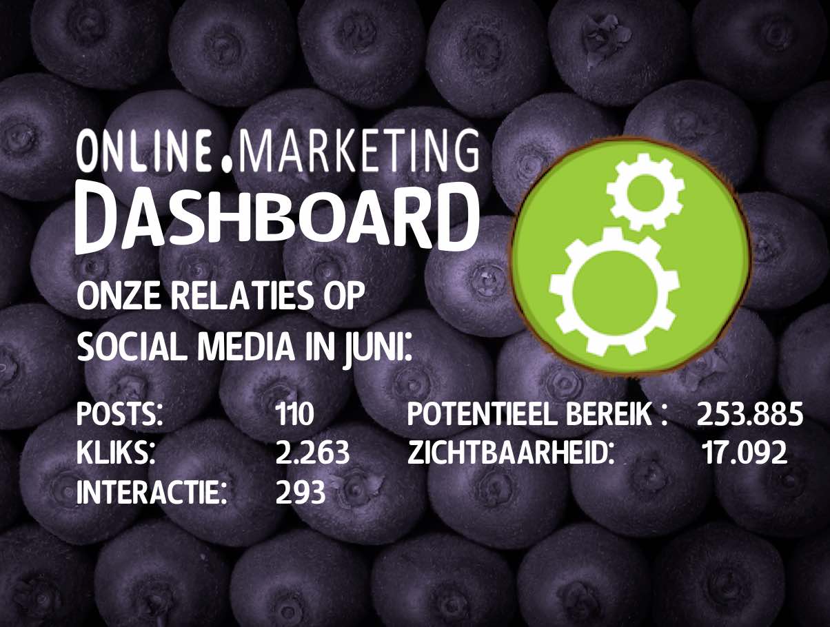 Online zichtbaarheid juni